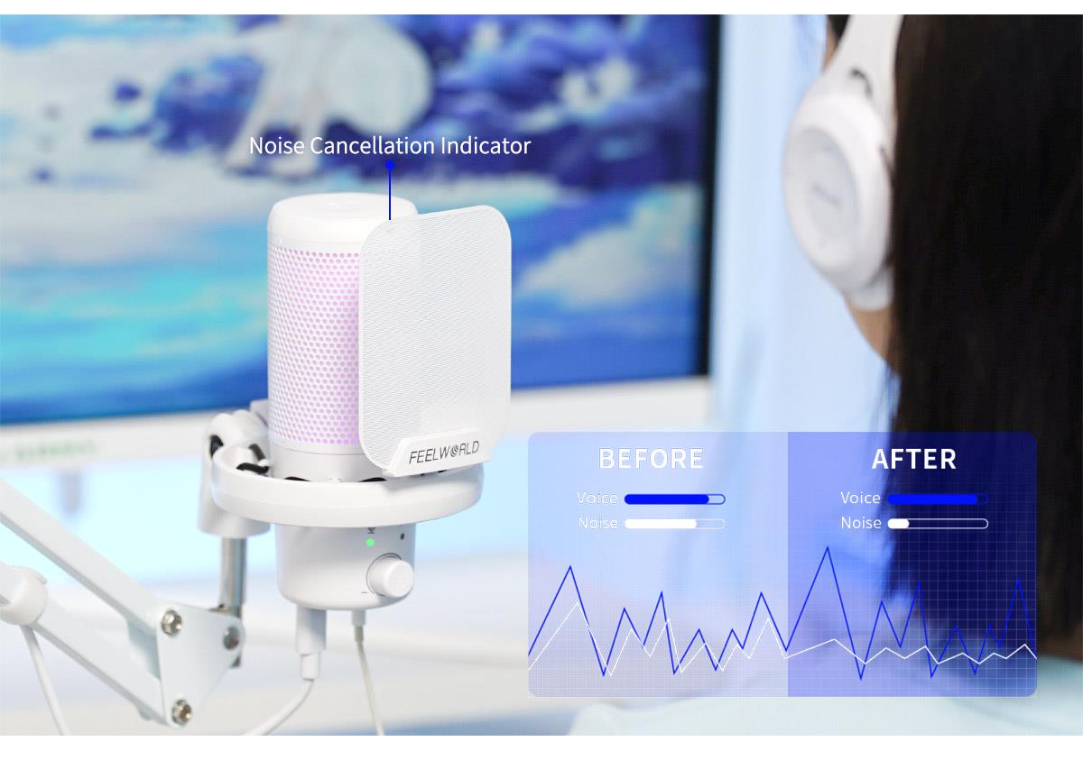 noise cancellation mic
